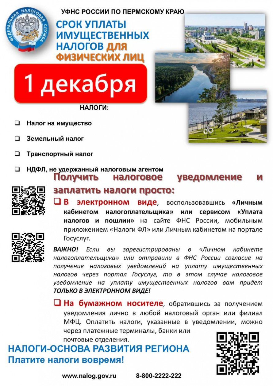 1 декабря 2023 года - срок уплаты имущественных налогов физическими лицами.